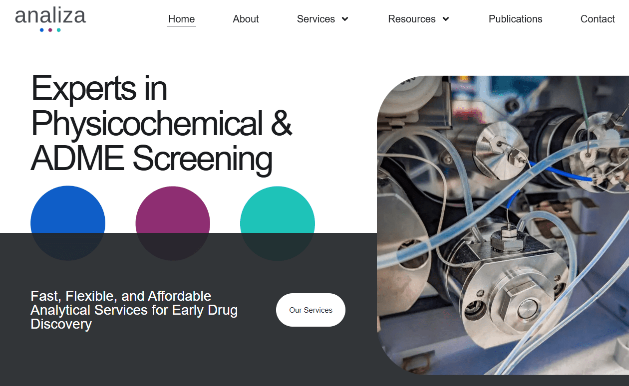 Analiza website screenshot